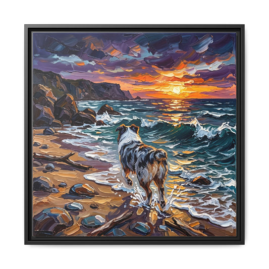 "Beach Day - Merle Aussie Shepherd" Framed Canvas Wall Art